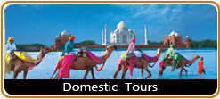 Domestic Tours